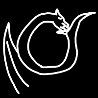 NocturnalShenanigans