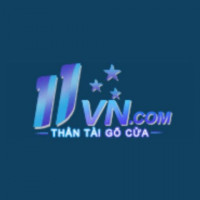 11vnboats