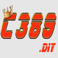 c389diy