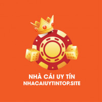 nhacaiuytinsnubthehub