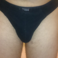 HairyZed