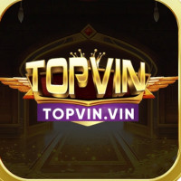topvinvin