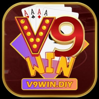 v9windiy