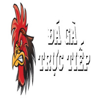 dagatructiep88tv