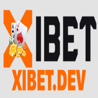 xibetdev
