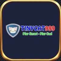 tinycat99casino