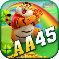 aa45org