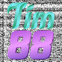 tim88agency