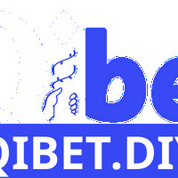 qibetdiy