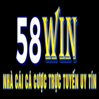 58winvipskin