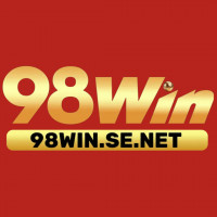98winsenet