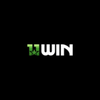 11wininnet