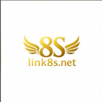 link8snet