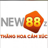 new88zio