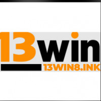 13win8ink