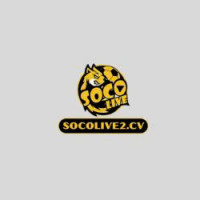 socolive2cv1