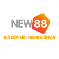 new88848com