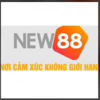 new8838net
