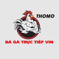 dagatructiepvin