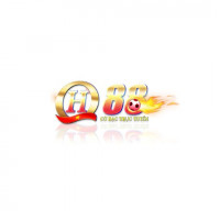 qh88vfs2