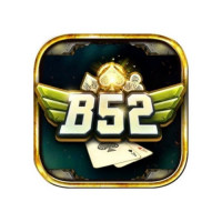 b52usorg