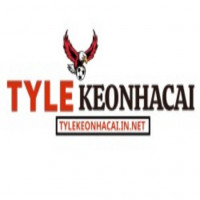 tylekeonhacaiinnet1