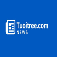 tuoitreecom