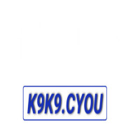 k9k9cyou