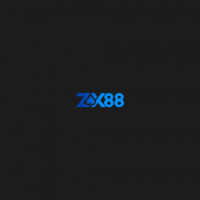 zx88digital