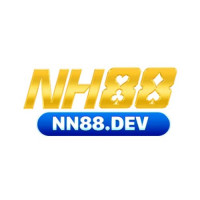 nn88dev1
