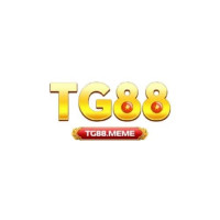tg88meme