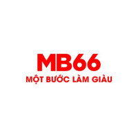 mb66anet
