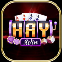 haywin1today