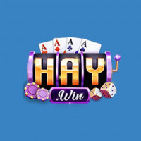 haywin1works