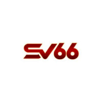 sv66vninnet