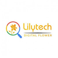 lilytechcomvn