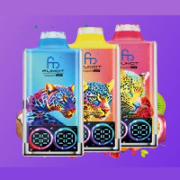randmevapesde01