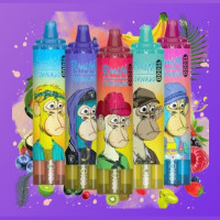 randmvapesnet03
