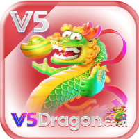 v5dragonorg