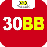 30bborg