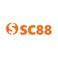 vnsc889com