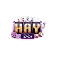haywinvnsite