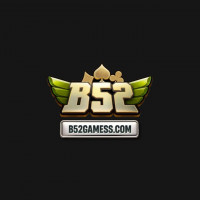b52gamess