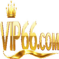 vip66training