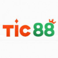 tic88vin