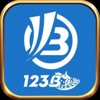 123bllc1