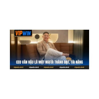 ceovanhauvipwin