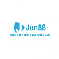 jun88usorg1vn