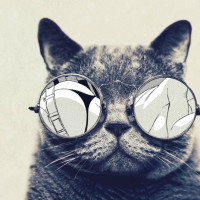 Jmojocat