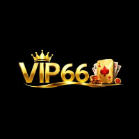 vip66vnnet